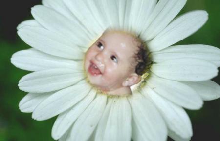 sayf din l idrisi lganoni sid swaf